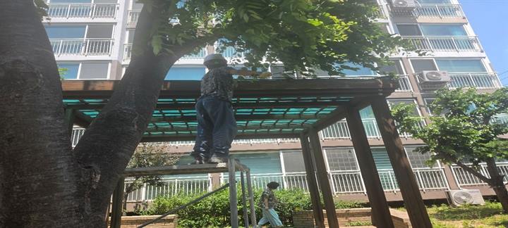 명장유림 작업 사진